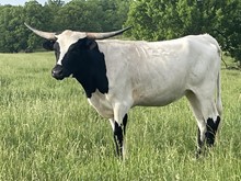 Smiley Creek Lady