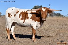 SEL IMPERESSIVE GLORY