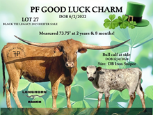 PF GOOD LUCK CHARM 