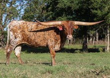 DON'T STOP MISS TUFF